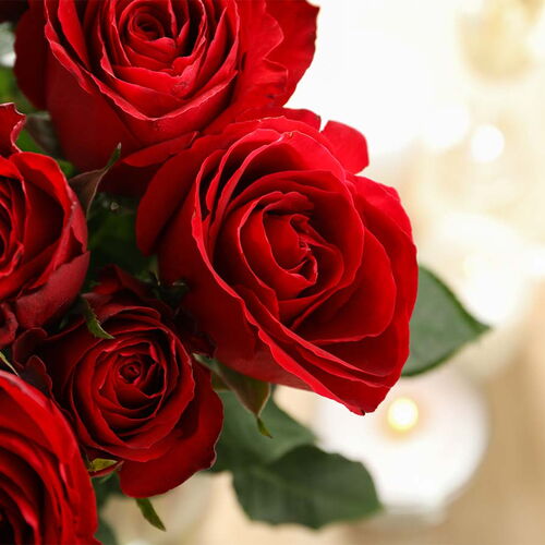 Nahaufnahme eines Straußes roter Rosen